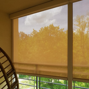 Das Außenrollo Screen SK90, cremefarben, Größe 200x260 cm, mit elektrischem Antrieb